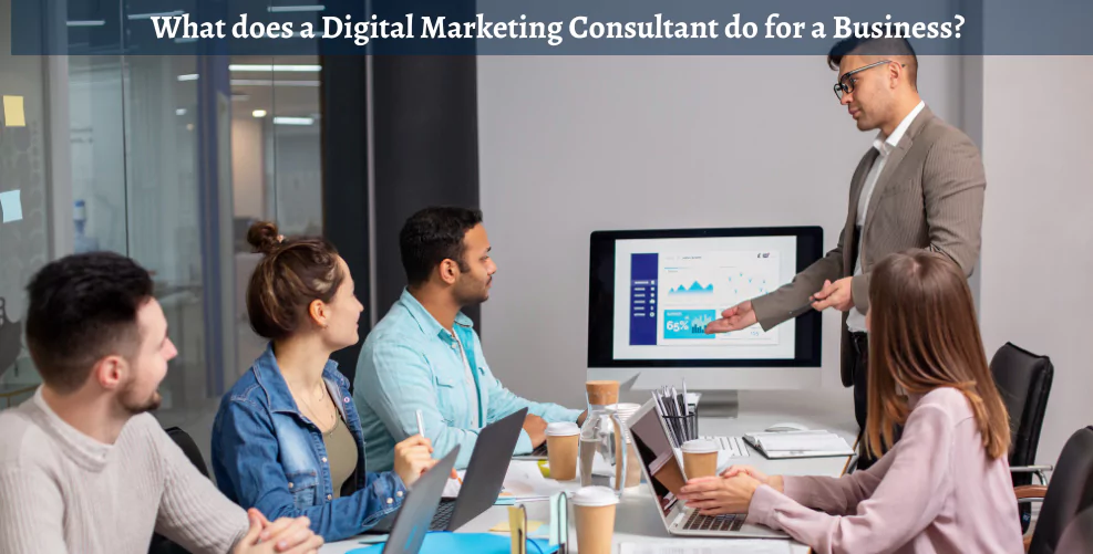 What does a Digital Marketing Consultant do for a Business?